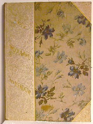 Seller image for Through Woodland and Meadow & Other Poems for sale by Jans Collectibles: Vintage Books