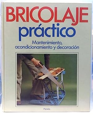 Bricolaje Práctico. Mantenimiento, Acondicionamiento Y Decoración