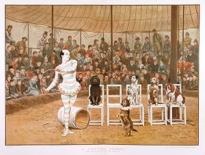 A TALENTED TROUPE . from the picture by Charles Green, R.I. A Clown and five performing dogs in f...