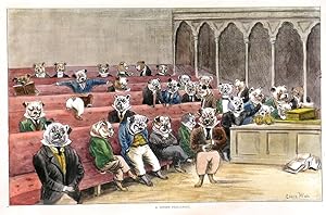 A CANINE PARLIAMENT. Dogs attending a session of the (Dog) Parliament, displaying all sorts of re...