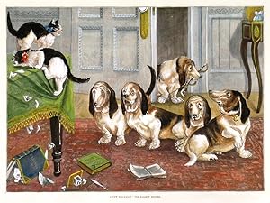 A NEW DOG-FANCY: THE BASSETT HOUNDS. A few cats watch with horror the arrival of five Bassett Hou...
