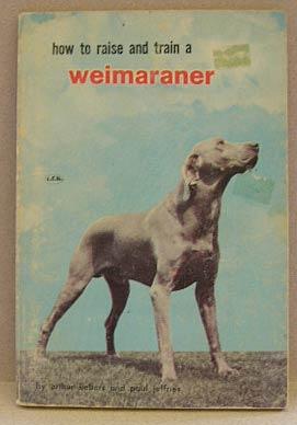 HOW TO RAISE AND TRAIN A WEIMARANER