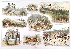 A Tiger Hunt in India. Original coloured wood engraving.