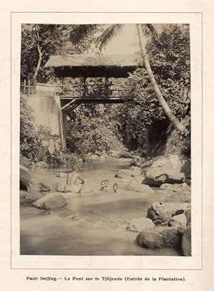 Plantation de Rubber "Pasir Oetjing" (Java). Compte-rendu général de la plantation pour l'exercic...