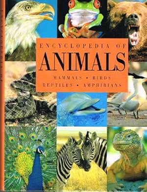 Bild des Verkufers fr Encyclopedia of Animals: Mammals, Birds, Reptiles, Amphibians zum Verkauf von Round Table Books, LLC