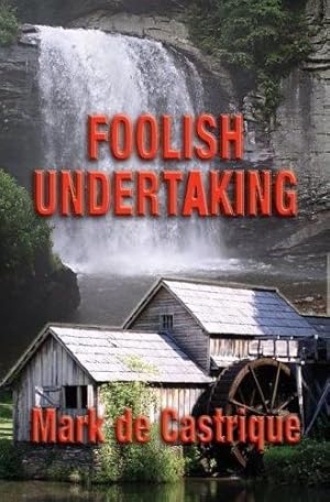 Image du vendeur pour Foolish Undertaking mis en vente par Bookmarc's