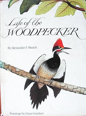 Bild des Verkufers fr Life of the Woodpecker zum Verkauf von Christison Rare Books, IOBA SABDA