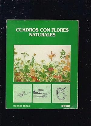 CUADROS CON FLORES NATURALES