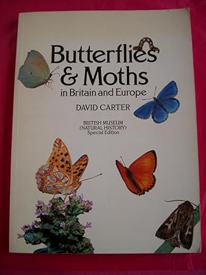 Seller image for BUTTERFLIES AND MOTHS IN BRITAIN AND EUROPE for sale by LOE BOOKS