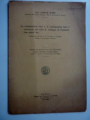 Immagine del venditore per LA CONIUGAZIONE VERA E LE CONIUGAZIONI FALSE ACCESSORIE DEL CICLO DI SVILUPPO DI CRYPTOCHILUM ECHINI Mps. Comunicazione letta al XX Convegno di Zoologia, Bologna 17 -22 settembre 1934 - XII. Estratto dal BOLLETTINO DI ZOOLOGIA Pubblicato dall'Unione Zoologia Italiana, Anno VI n. 1 - 2 Febbraio / Aprile 1935 ( XIII )" venduto da Historia, Regnum et Nobilia