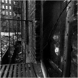 EAST 100TH STREET: BRUCE DAVIDSON - DELUXE LIMITED SIGNED, SLIPCASED EDITION WITH A PHOTOGRAPHIC ...