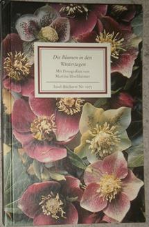 Bild des Verkufers fr Die Blumen in den Wintertagen. zum Verkauf von Antiquariat Johann Forster