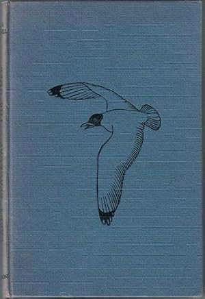 Seller image for Larry Blackcap for sale by The Children's Bookshop