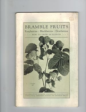 Image du vendeur pour BRAMBLE FRUITS: RASPBERRIES, BLACKBERRIES, DEWBERRIES mis en vente par Jim Hodgson Books