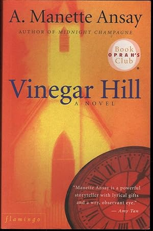 Seller image for Vinegar Hill (2001 ed. Soft) for sale by Mr Pickwick's Fine Old Books