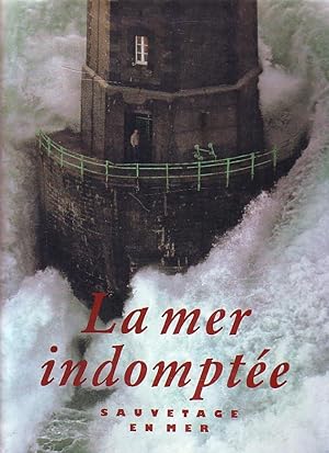 La mer indomptée, sauvetage en mer.