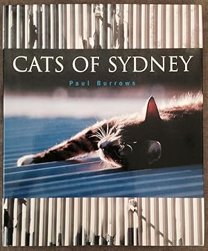 Cats of Sydney.