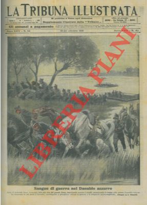 L'esercito romeno ha attraversato il Danubio costringendo alla ritirata le truppe austro-ungariche.