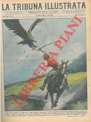 Aquila assale una giovane a cavallo.