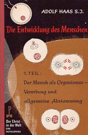 Imagen del vendedor de Die Entwicklung des Menschen 1. Teil: Der Mensch als Organismus - Vererbung und allgemeinde Abstammung. Aus: Der Christ in der Welt. a la venta por Online-Buchversand  Die Eule