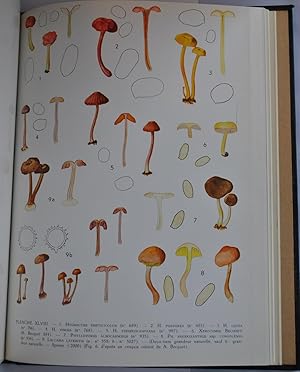 Imagen del vendedor de Flore Iconographique des Champignons du Congo. Fascicules 9-17 a la venta por ecbooks