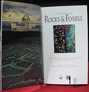 Rocks & Fossils