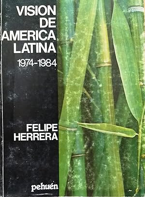 Visión de América Latina : 1974 - 1984