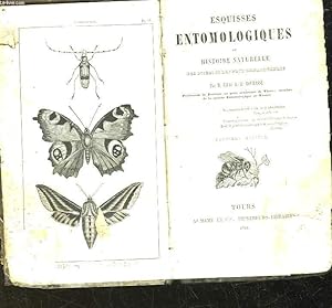 Bild des Verkufers fr ESQUISSES ENTOMOLOGIEQUES OU HISTOIRE NATURELLES DES INSECTES LES PLUS REMARQUABLES zum Verkauf von Le-Livre