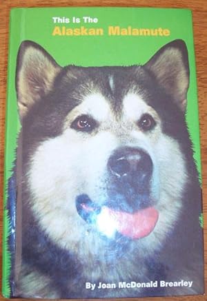 This is the Alaskan Malamute