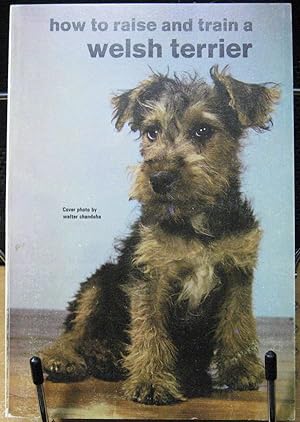 How to Raise and Train a Welsh Terrier