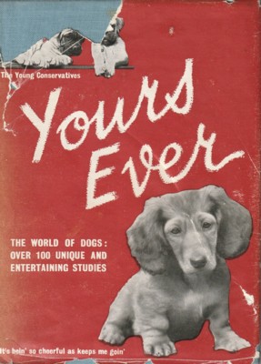 Yours ever. 104 unusual studies of dogs.