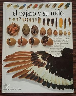 El Pajaro Y Su Nido