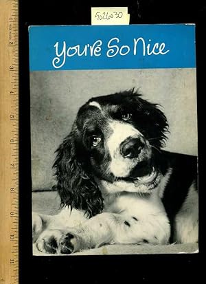 Imagen del vendedor de You're So Nice [Pictorial Children's Reader, Learning to Read, Skill Building, Appreciation of Animals, Wonderful b/w Photos of Animals, cats and Dogs, Bears and Monkeys, fun] a la venta por GREAT PACIFIC BOOKS