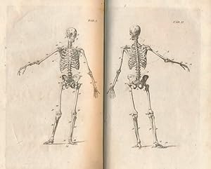Immagine del venditore per Anatomical Dialogues: or, A Breviary of Anatomy . venduto da Barter Books Ltd