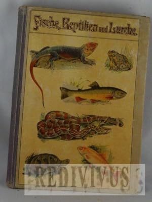 Fische, Reptilien und Lurche. 226 [farbigen chromlith.] Abbildungen auf 30 Bildtafeln und 3 Texta...