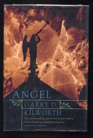 Imagen del vendedor de Angel a la venta por Ravenroost Books