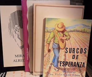 Immagine del venditore per MIRANDO ALREDEDOR + SURCOS DE ESPERANZA + MAQUILLAJE DE NOCHE + VELAS A LA DERIVA (4 libros) venduto da Libros Dickens
