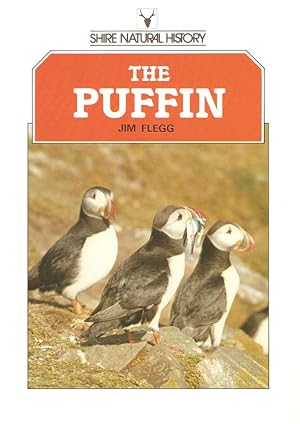 Seller image for THE PUFFIN. By Jim Flegg. Shire Natural History series no. 2. for sale by Coch-y-Bonddu Books Ltd