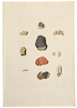 [Mineral Specimens] [Pl. 13]