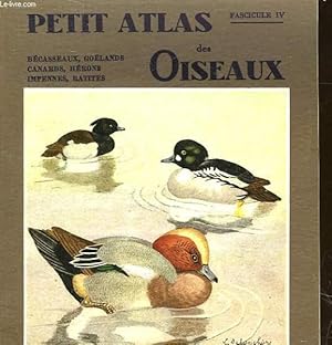 Bild des Verkufers fr PETIT ATLAS DES OISEAUX - IV - BECASSEAUX, GOELANDS, CANARDS, HERONS, IMPENNES, RATITES zum Verkauf von Le-Livre