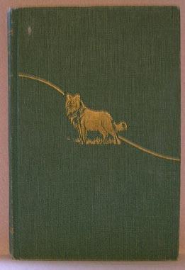 Seller image for JINKS OF JAYSON VALLEY for sale by B A Downie Dog Books