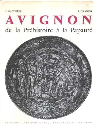 Avignon de la prehistoire à la papauté