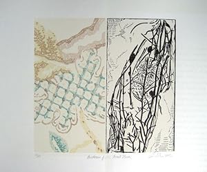 Evidence of the Fossil Flora: [artist's print]