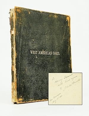 Seller image for Illustrations of West American Oaks: from drawings by the late Albert Kelloff, M. D. (Signed first edition) for sale by Shelley and Son Books (IOBA)