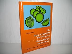 Die Alge im System der Pflanzen: Nanochlorum eucaryotum. E. Alge mit minimalen eukaryotischen Kri...