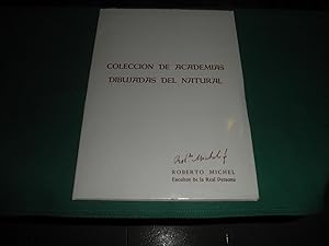 Colección de Academias dibujadas al natural