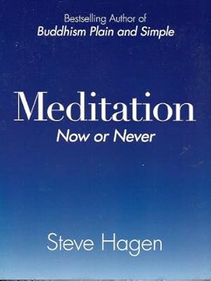 Imagen del vendedor de MEDITATION : Now or Never a la venta por Grandmahawk's Eyrie