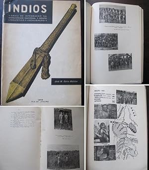 Indios.Grau de Integracao na Comunidade Nacional.