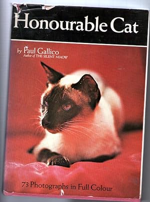 Honourable Cat