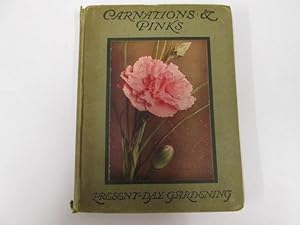 Imagen del vendedor de Carnations and pinks a la venta por Goldstone Rare Books